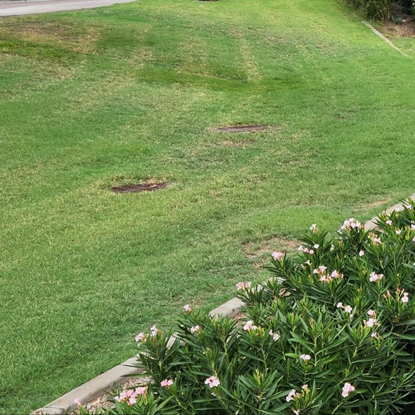 Benefits of Turfgrass | Benefits of Bermuda Grass | Benefits of Perennial Ryegrass