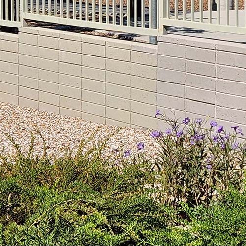 Sustainable Practices for Preserving Exterior Walls | Stucco Maintenance