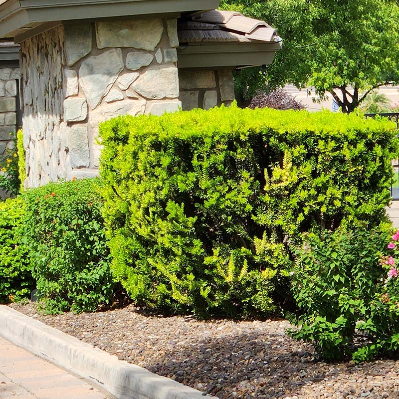 Legalities | Sustainability Resources | Why is Curb Appeal Important | Importance of Curb Appeal
